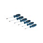 Набір викруток Bosch Torx 6шт, T10х75, T15х75, T20x100, T25x100, T30x125, T40x125 мм (1.600.A01.V09)