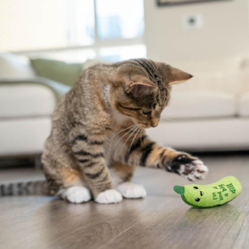 Іграшка для котів Catstages Хрусткий кікер з м'ятою (0700603703796)