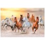Пазл Tactic Дикі коні, 1000 елементів (56754)