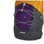 Рюкзак туристичний Osprey Quasar 26 atlas blue heather O/S (009.3132)