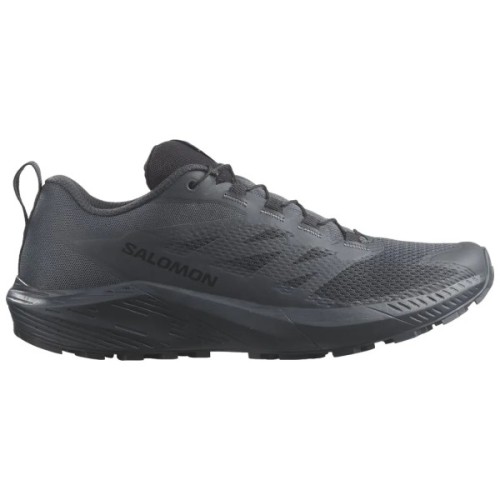 Кросівки Salomon Sense Ride 5 SR Indink 7 (L47377700-7)
