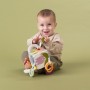 Розвиваюча іграшка Taf Toys кубик колекції Садочок у місті - Їжачок і бурячок (13095)