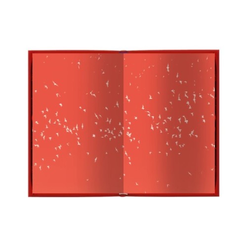 Книга Дракула - Брем Стокер КСД (9786171520073)