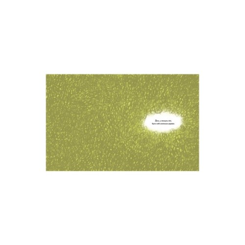 Книга Фоґі - Олександр Шатохін Видавництво Старого Лева (9789664482476)