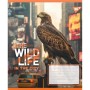 Зошит Yes The wild in the city А5 96 аркушів лінія (767773)