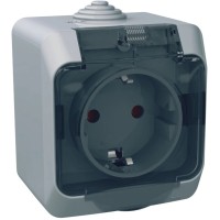 Розетка Schneider Electric CEDAR 2К+С зі шторками та прозорою кришкою серая IP44 (WDE000643)