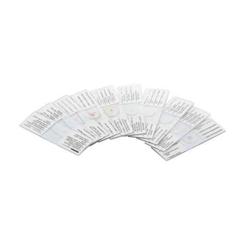 Набір мікропрепаратів Konus Біологія Дивовижна структура клітин 10 шт (4886)