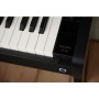 Цифрове піаніно Casio AP-550BK (363166)
