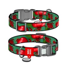Нашийник для тварин WAUDOG Nylon з QR паспортом "Гранати" пластиковий фастекс М (281-4052)