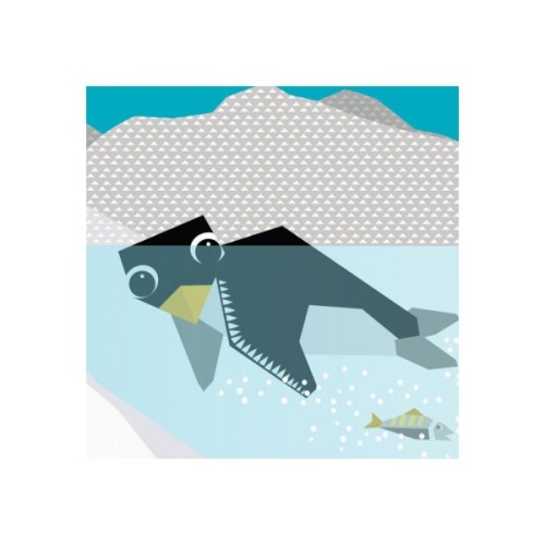 Книга Полярні друзі - Роджерс Мадлєн Ранок (9789667490126)