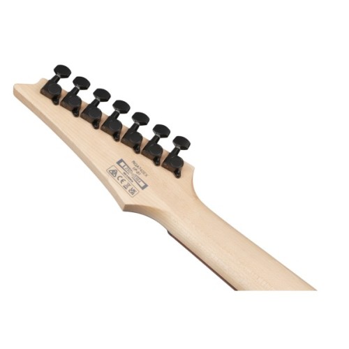 Електрогітара Ibanez RGA742EX-BAM (302354)