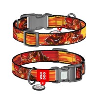 Нашийник для тварин WAUDOG Nylon з QR паспортом "Швидкість Флеша", пластиковий фастекс, XL (283-1080)