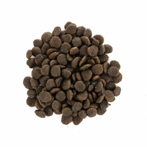 Сухий корм для собак Brit Care GF Mini Yorkshire 2 кг (8595602520190)