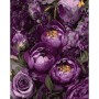 Картина по номерам Santi Чарівні півонії 40х50 см (955775)