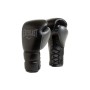Боксерські рукавички Everlast Powerlock 2 Pro Lace 896910-70-314 чорний 14 oz (009283609122)