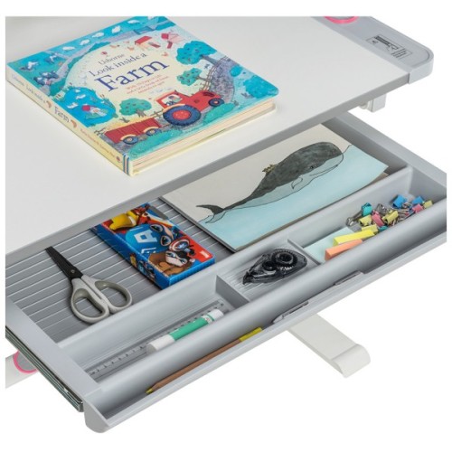 Парта зі стільцем FunDesk Littonia Pink