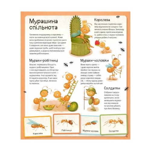 Книга Світ мурах - Штєпанка Секанінова Vivat (9786171703186)