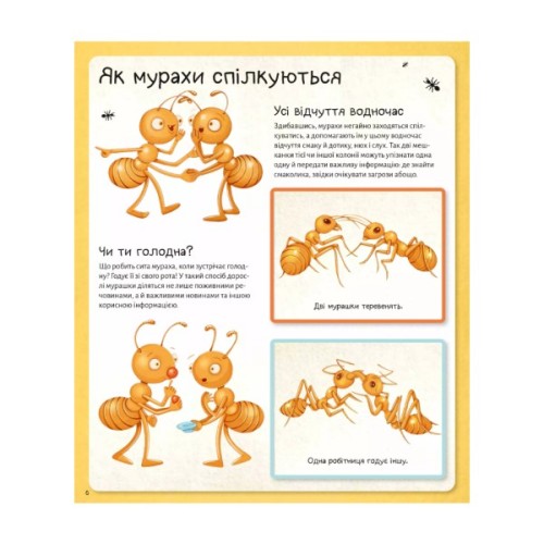 Книга Світ мурах - Штєпанка Секанінова Vivat (9786171703186)