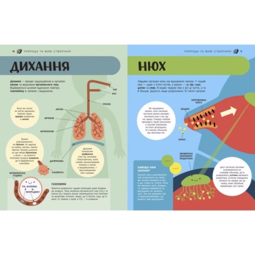 Книга Енциклопедія STEM для дітей: 100 понять майбутнього генія - Дженні Джекобі Ранок (9786170992789)