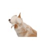 Кепка для тварин Pet Fashion Gold L (4823082446025)