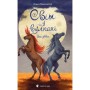 Книга Світ у вулкані. Дощ-убивця. Книга 2 - Ольга Максимчук Видавництво Старого Лева (9786176798774)