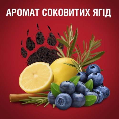 Гель для душу Old Spice Bearglove 1000 мл (8700216610933)