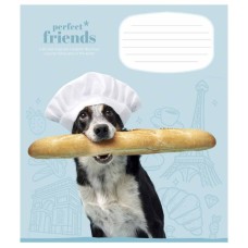 Зошит Школярик Perfect friends 12 аркушів клітинка (012-3250K)