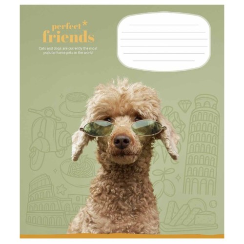 Зошит Школярик Perfect friends 12 аркушів клітинка (012-3250K)