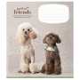 Зошит Школярик Perfect friends 12 аркушів клітинка (012-3250K)