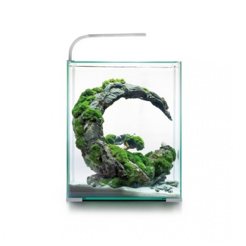 Акваріум AquaEl Shrimp Set Smart для креветок прямий білий 19 л (5905546326223)