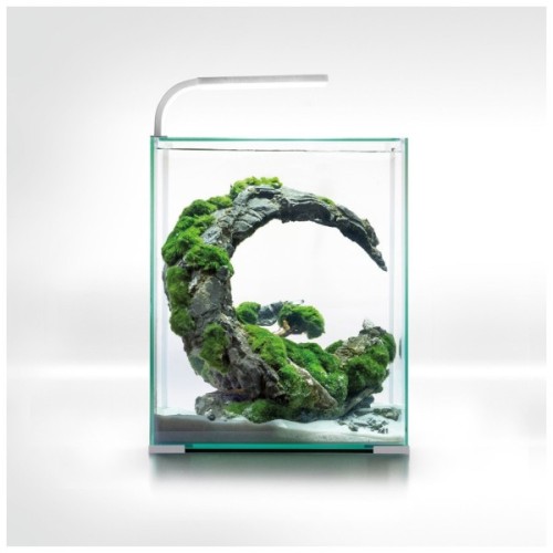 Акваріум AquaEl Shrimp Set Smart для креветок прямий білий 19 л (5905546326223)