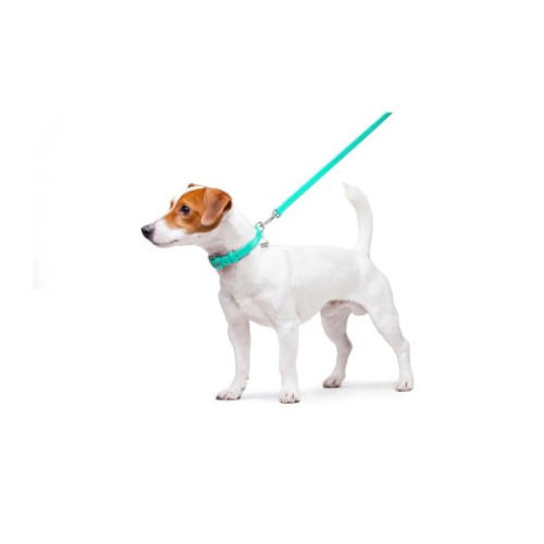 Повідець для собак WAUDOG Glamour шкіряний XS ментоловий (337213)