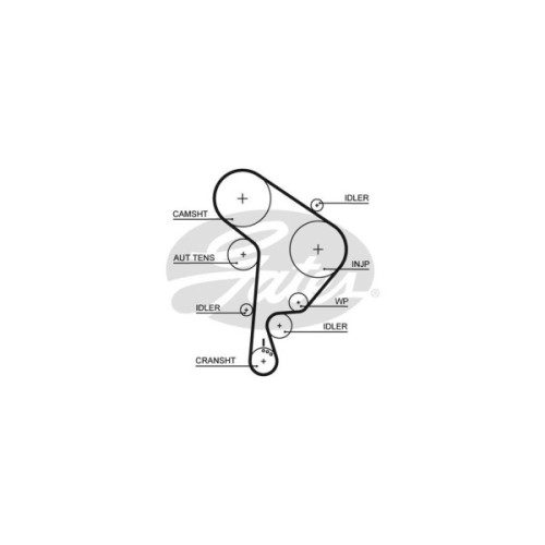 Ремінь ГРМ Gates 5559XS
