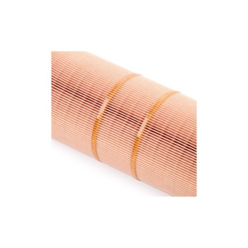 Повітряний фільтр для автомобіля Mann C12133/1