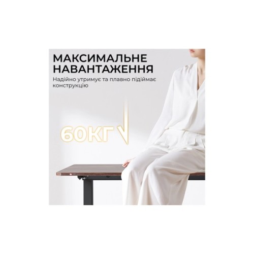 Комп'ютерний стіл Sihoo D03 Walnut/Black (D03-104/D03-108)