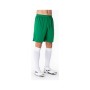 Шорти Joma Nobel 100053.450 зелений 2XL-3XL (9995138944108)