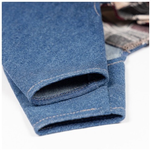 Костюм для тварин Pet Fashion Dandy XS2 (4823082445349)