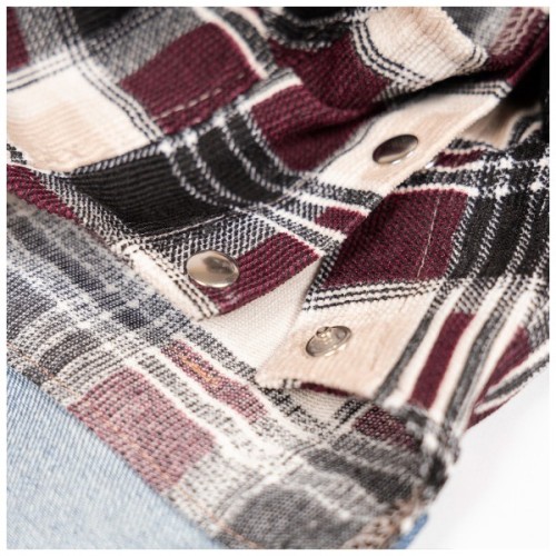 Костюм для тварин Pet Fashion Dandy XS2 (4823082445349)