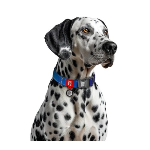 Нашийник для тварин WAUDOG Nylon Mono з QR паспортом, пластиковий фастекс S синій (520912)