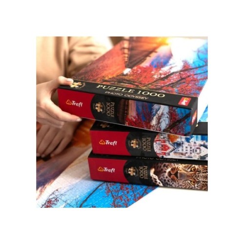 Пазл Trefl Premium Манхеттен, Нью-Йорк 1000 елементів (5900511108286)