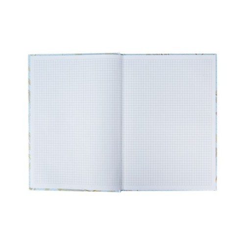 Канцелярська книга Axent Waves А4, 96 аркушів, клітинка, блакитна (8422-560-A)