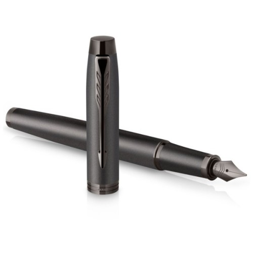 Ручка пір'яна Parker IM 17 Professionals Monochrome Titanium  FP F (28 011)