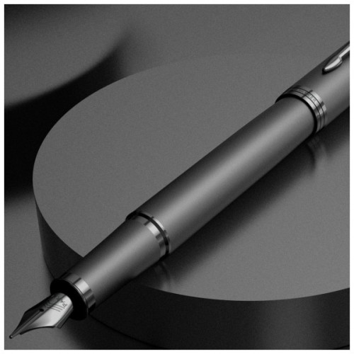 Ручка пір'яна Parker IM 17 Professionals Monochrome Titanium  FP F (28 011)