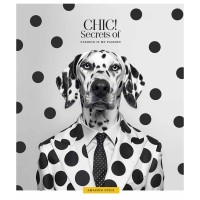 Зошит Школярик Fashion chic 36 аркушів клітинка (036-3458K)