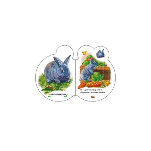 Книга Малята на подвір'ї + Аудіо-бонус - Ірина Сонечко Ранок (9789667508586)