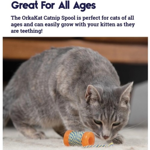 Іграшка для котів Catstages Йо-йо 5.1 см (0871864003137)