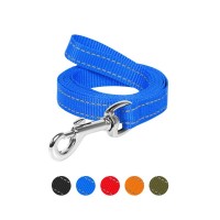 Повідець для собак Dog Extreme з нейлону Ш 14 мм Д 150 см блакитний (04592)