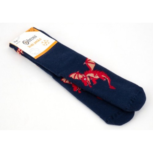 Шкарпетки дитячі Bross махрові з драконом (9898-8-10-blue)