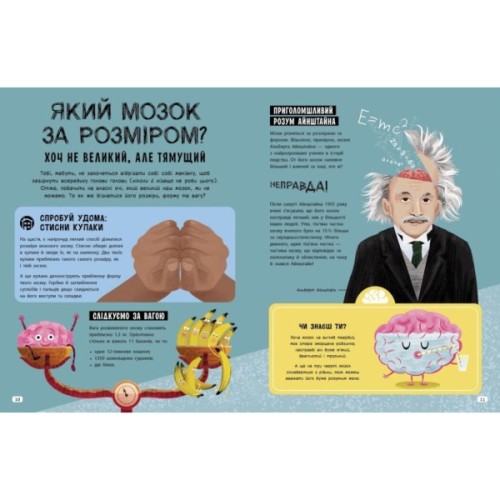 Книга Дивовижний мозок. Ця книжка повна мізків: усілякі мізки та як вони працюють - Тім Кеннінґтон Ранок (9786170977052)