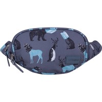 Сумка-бананка Bagland Bella 2 л. сублімація 740 (00202664) (662211596)